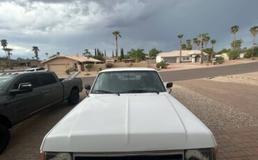 Ford-f-250-xlt-1991-white-13
