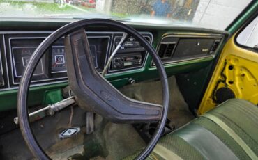 Ford-f-350-1974-green-8