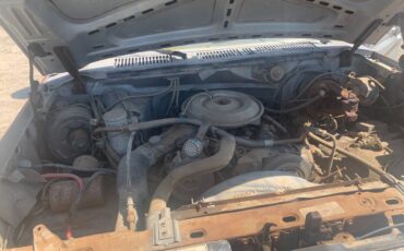 Ford-f-350-1981-grey-5