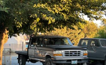 Ford-f-350-diesel-1995-grey-17