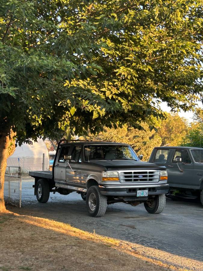 Ford-f-350-diesel-1995-grey-17