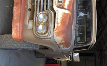 Ford-f100-1959-brown-3