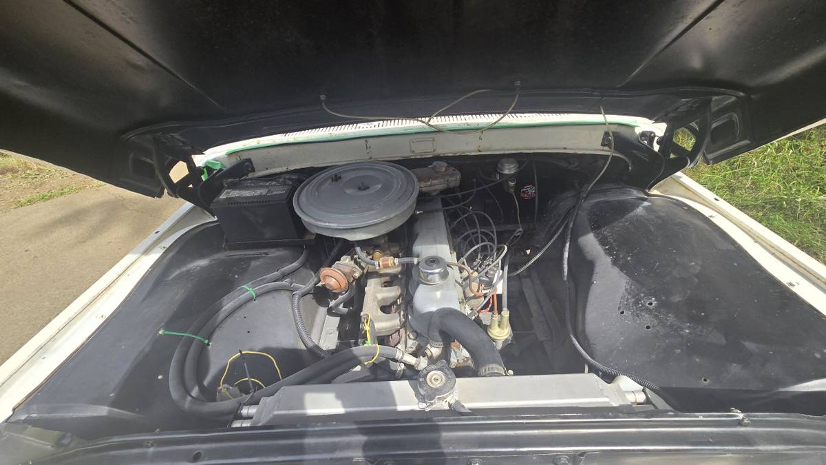 Ford-f100-1964-white-5