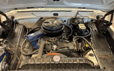Ford-f100-1970-white-9
