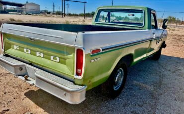 Ford-f100-1975-6