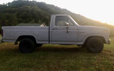 Ford-f100-custom-pickup-1981-grey-2