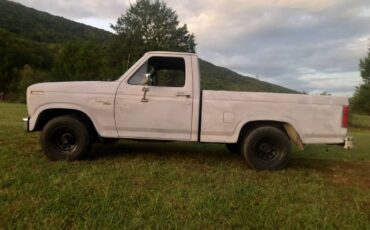 Ford-f100-custom-pickup-1981-grey-3