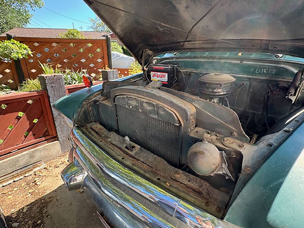Ford-f100-pickup-1955-green-21