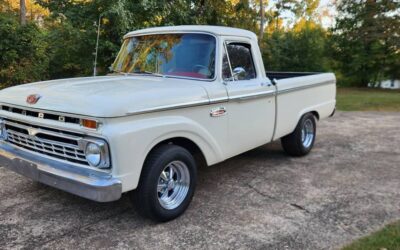 Ford f100 pickup 1965