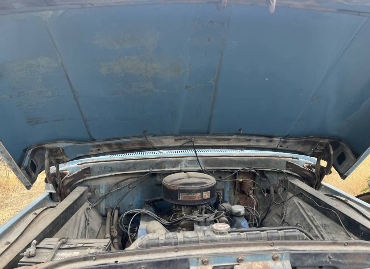 Ford-f100-pickup-1965-blue-8