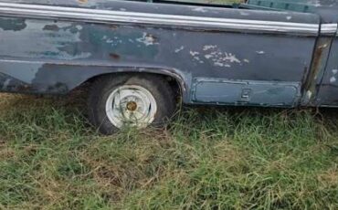Ford-f100-pickup-1966-blue-5