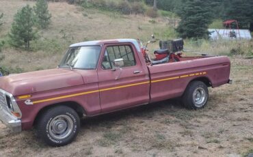 Ford-f100-pickup-1979-11