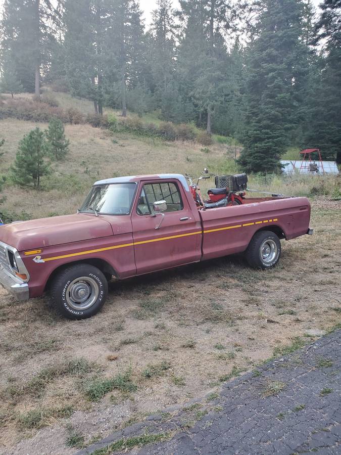 Ford-f100-pickup-1979-8