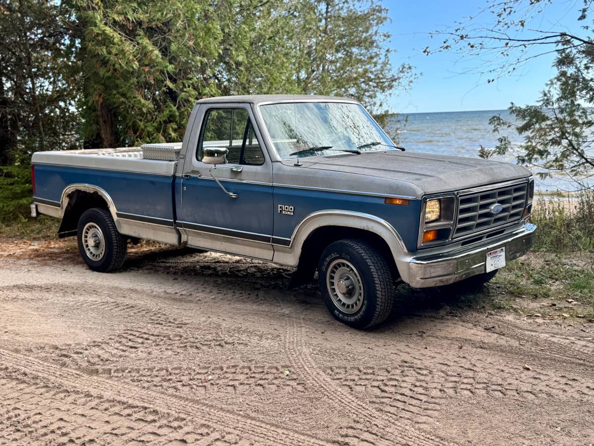 Ford-f100-pickup-1982-grey-21