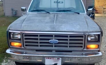 Ford-f100-pickup-1982-grey-30