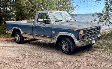 Ford-f100-pickup-1982-grey-6
