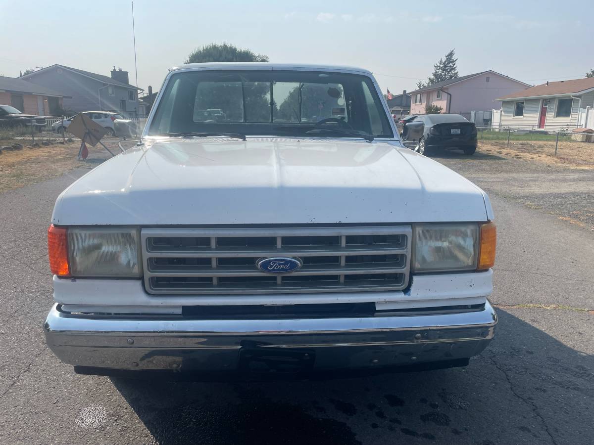 Ford-f150-1989-white-1