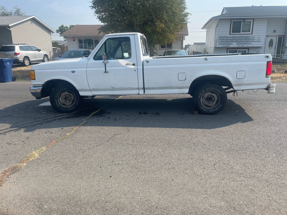 Ford-f150-1989-white-3