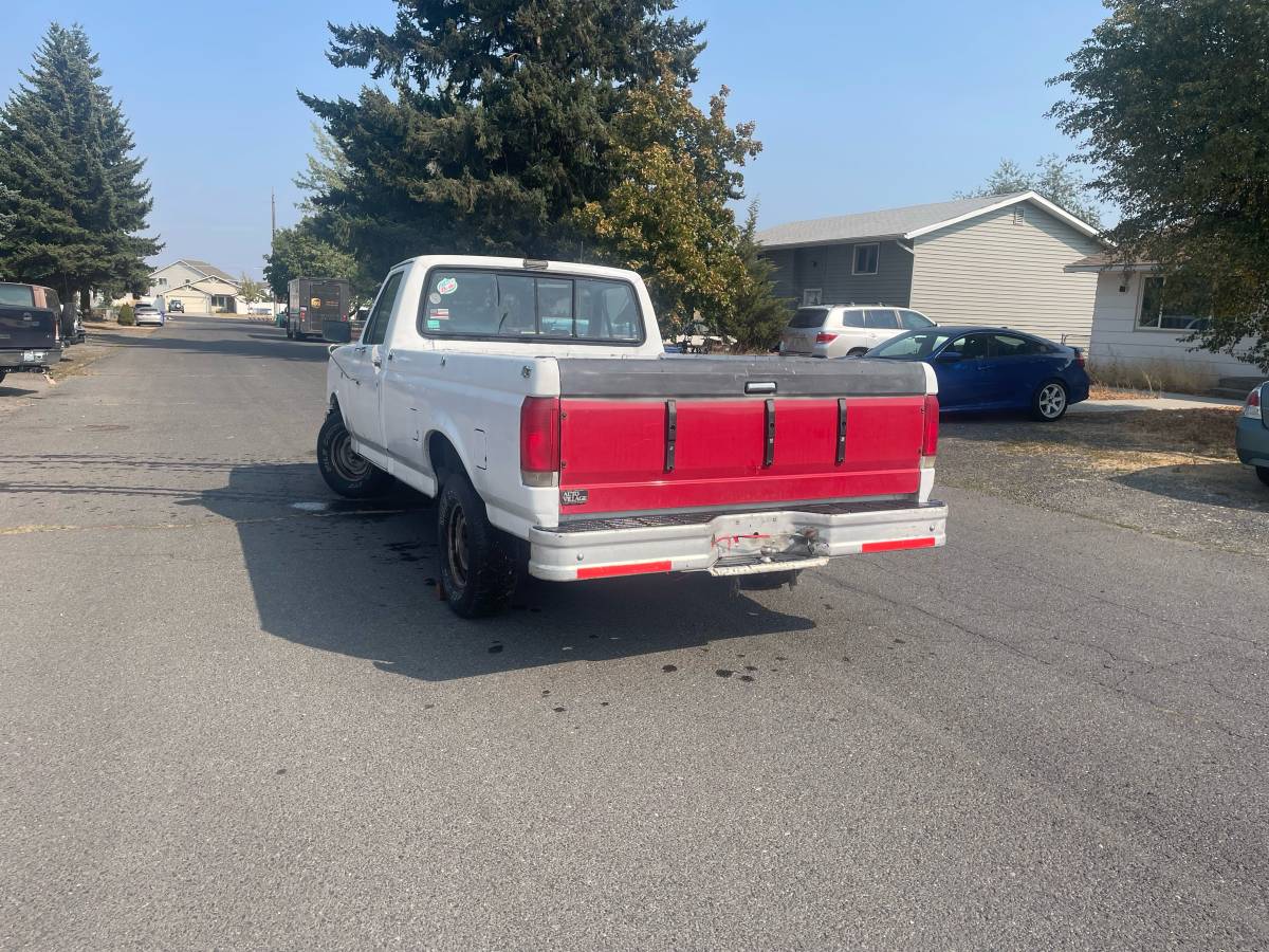 Ford-f150-1989-white-5