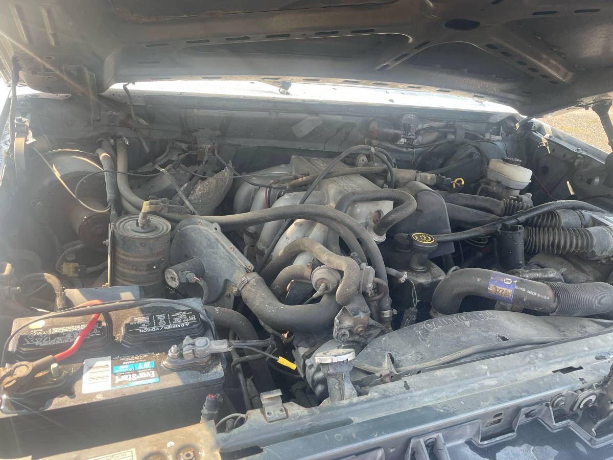 Ford-f150-1989-white-6