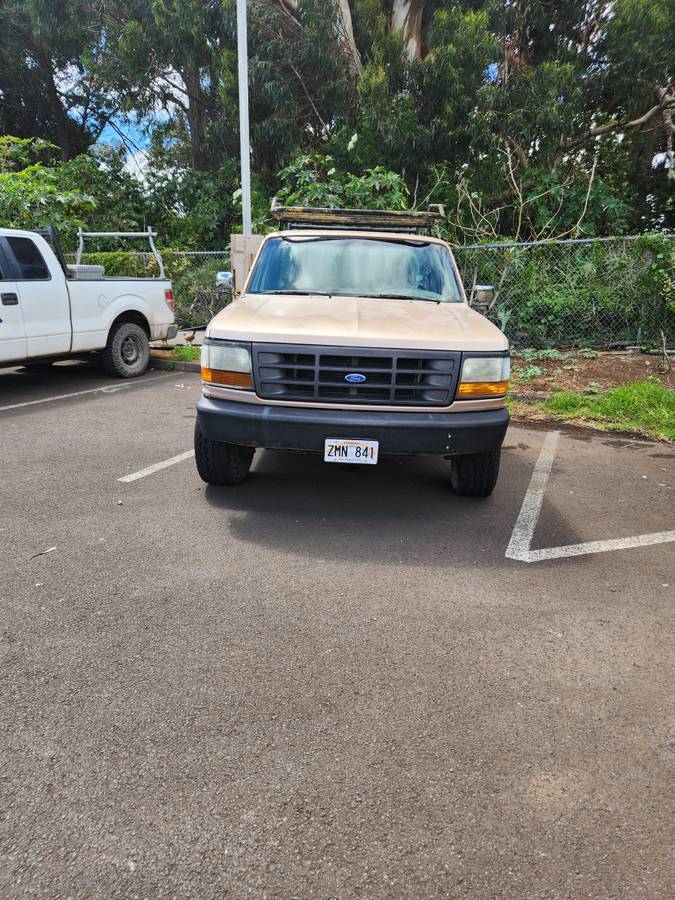 Ford-f150-4x4-1996-custom-1