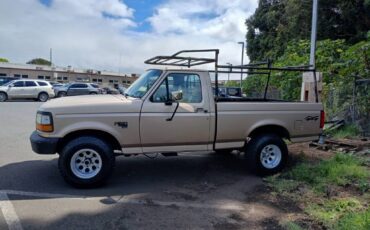 Ford-f150-4x4-1996-custom-2