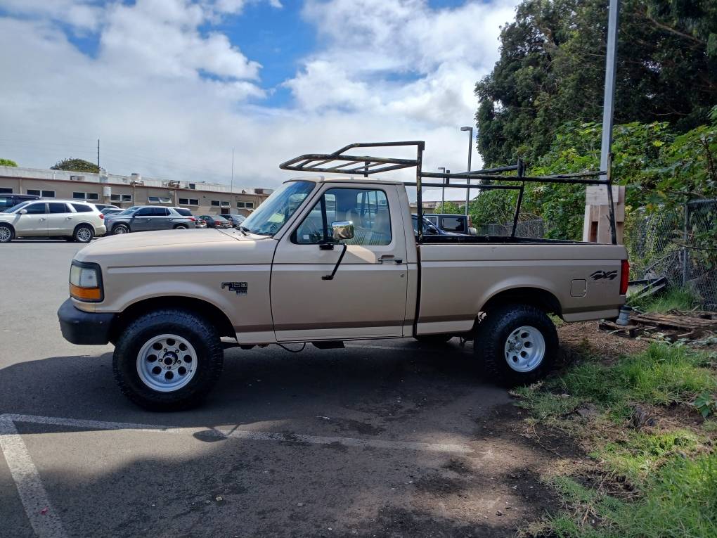 Ford-f150-4x4-1996-custom-2