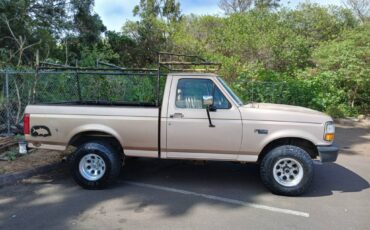 Ford-f150-4x4-1996-custom-3