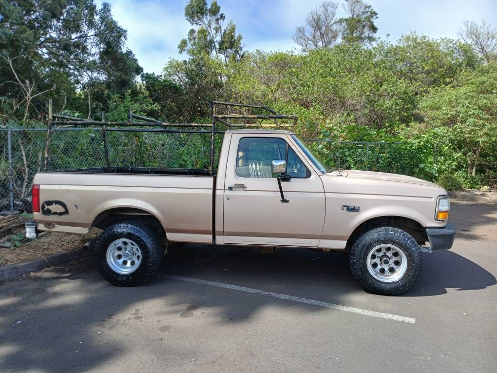 Ford-f150-4x4-1996-custom-3