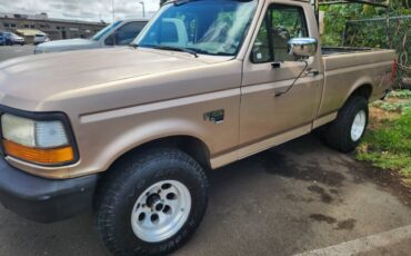 Ford-f150-4x4-1996-custom-9