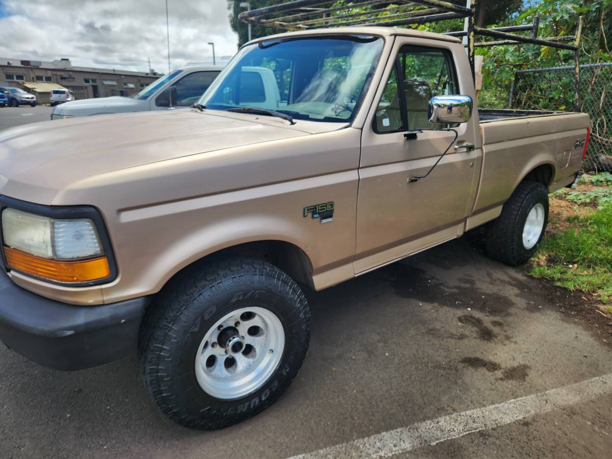 Ford-f150-4x4-1996-custom-9