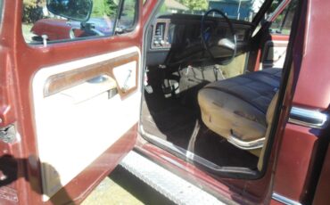 Ford-f150-lariat-4x4-1979-brown-5