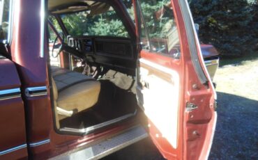 Ford-f150-lariat-4x4-1979-brown-6