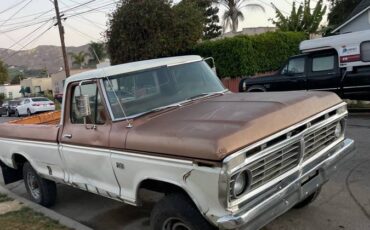 Ford-f250-1973-brown-2