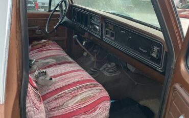 Ford-f250-1973-brown-3
