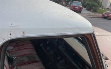 Ford-f250-1973-brown-4