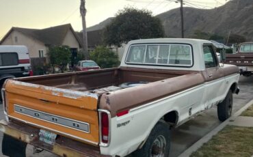 Ford-f250-1973-brown-5