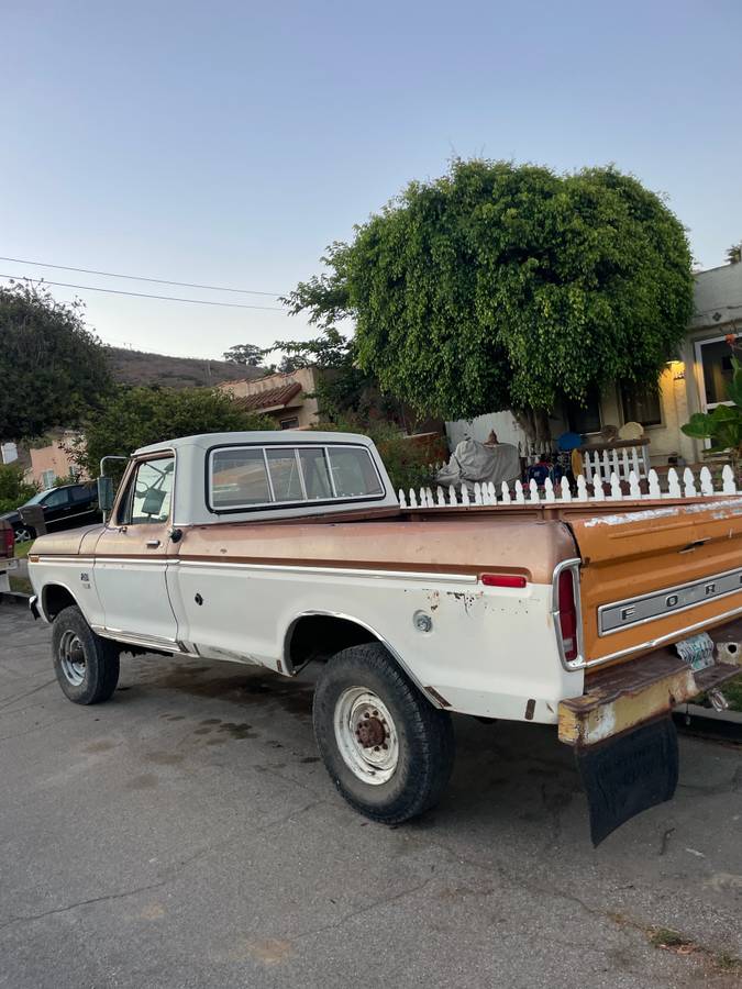 Ford-f250-1973-brown-6