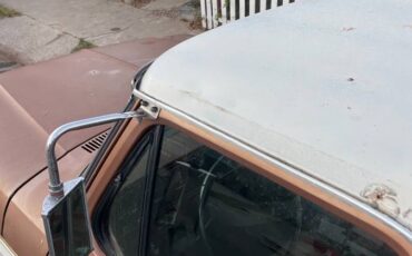 Ford-f250-1973-brown-7