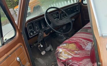 Ford-f250-1973-brown-8
