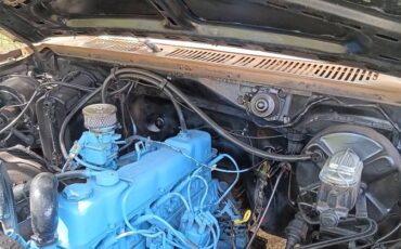 Ford-f250-1985-brown-4