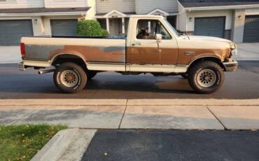 Ford-f250-1989-brown-1
