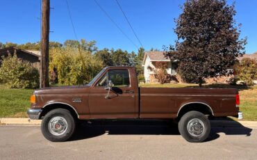 Ford-f250-1989-brown-1