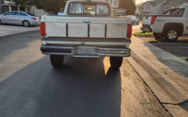 Ford-f250-1989-brown-2