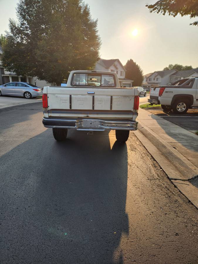 Ford-f250-1989-brown-2