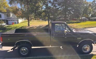 Ford-f250-1989-brown-3