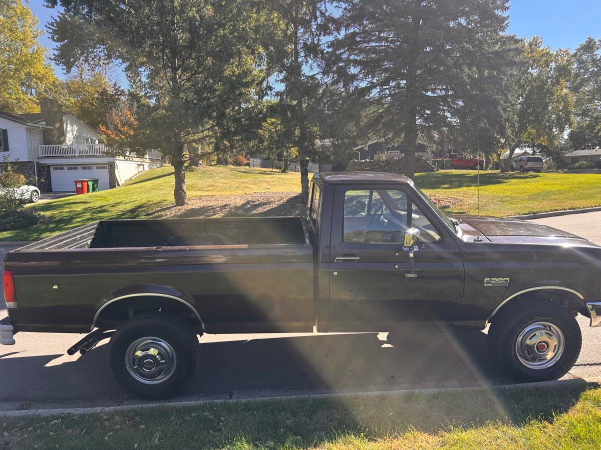 Ford-f250-1989-brown-3