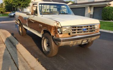 Ford-f250-1989-brown-5