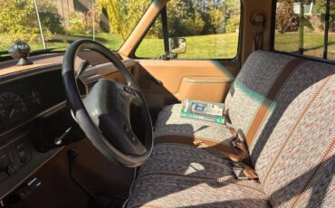 Ford-f250-1989-brown-7