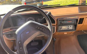 Ford-f250-1989-brown-8